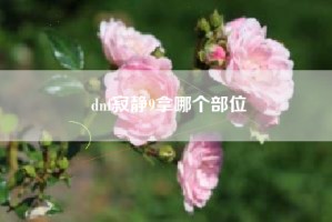 dnf寂静9拿哪个部位