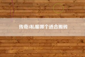 传奇3私服哪个适合搬砖
