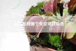 dnf发布网哪个天空可以染色