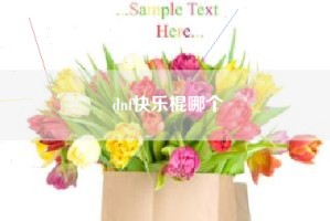 dnf快乐棍哪个
