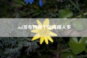dnf发布网哪个区海南人多