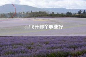 dnf飞升哪个职业好