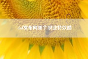 dnf发布网哪个职业特效酷