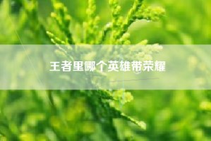 王者里哪个英雄带荣耀