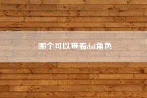 哪个可以查看dnf角色