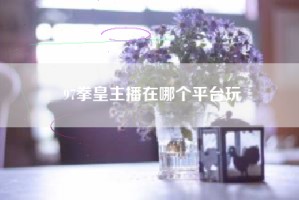 97拳皇主播在哪个平台玩