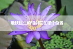 地铁逃生的辐射区在哪个位置