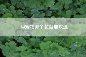 dnf宠物哪个装备加攻速