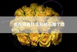 泰拉瑞亚红玉和钻石哪个贵
