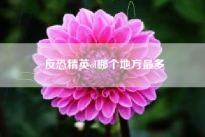 反恐精英ol哪个地方最多