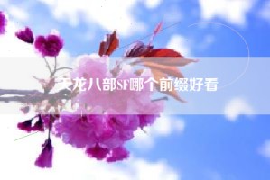 天龙八部SF哪个前缀好看