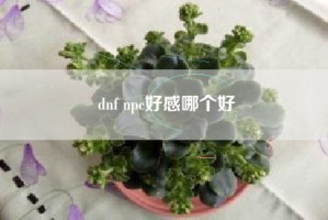 dnf npc好感哪个好
