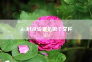 dnf键盘设置是哪个文件