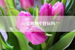 dnf觉醒哪个好玩吗