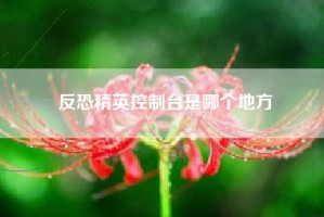 反恐精英控制台是哪个地方