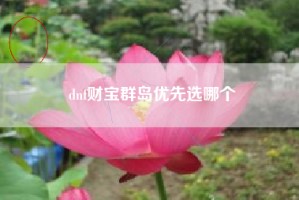 dnf财宝群岛优先选哪个