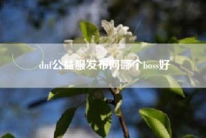 dnf公益服发布网哪个boss好