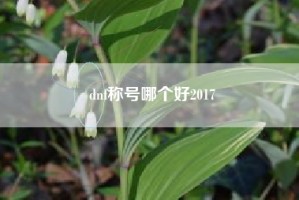 dnf称号哪个好2017