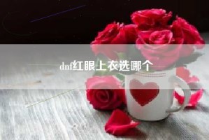 dnf红眼上衣选哪个