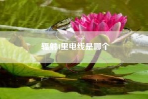 辐射4里电线是哪个