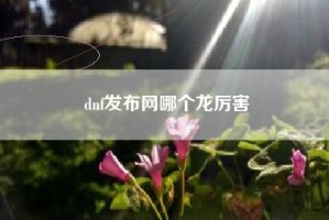 dnf发布网哪个龙厉害