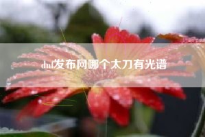 dnf发布网哪个太刀有光谱
