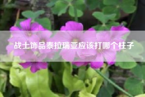战士饰品泰拉瑞亚应该打哪个柱子