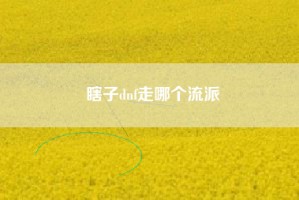 瞎子dnf走哪个流派