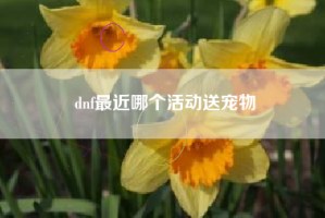 dnf最近哪个活动送宠物