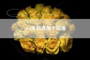 dnf天启者哪个厉害