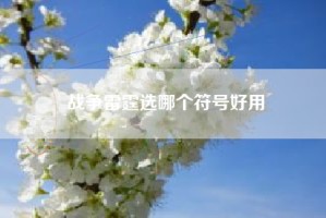 战争雷霆选哪个符号好用