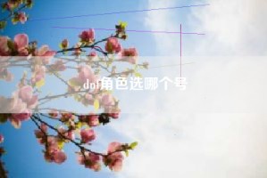 dnf角色选哪个号