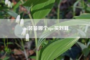 dnf装备哪个npc买划算