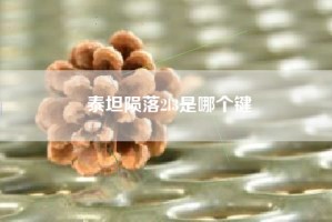 泰坦陨落2l3是哪个键