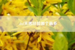 dnf天界经验哪个最多
