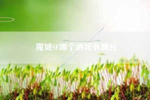 魔域SF哪个酒馆有舞台