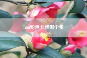 dnf粉色卡牌哪个贵