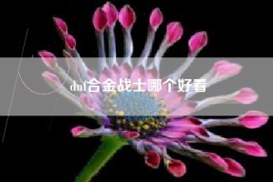 dnf合金战士哪个好看