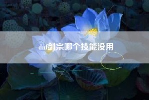dnf剑宗哪个技能没用