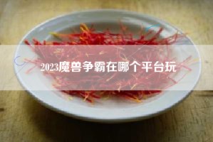 2023魔兽争霸在哪个平台玩