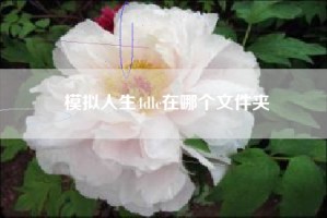 模拟人生4dlc在哪个文件夹