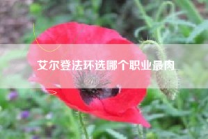 艾尔登法环选哪个职业最肉