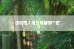 怪物猎人崛起弓箭哪个好