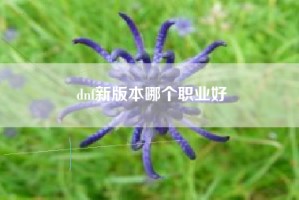 dnf新版本哪个职业好
