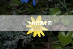 dnf卡片打哪个图
