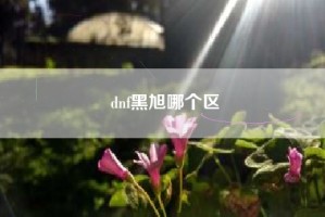 dnf黑旭哪个区