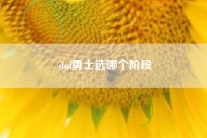 dnf勇士选哪个阶段