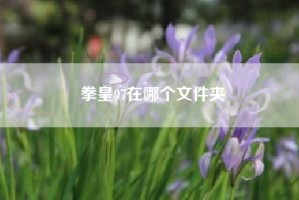 拳皇97在哪个文件夹