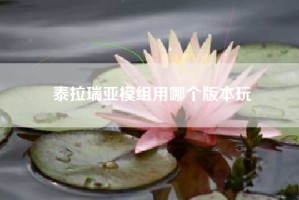 泰拉瑞亚模组用哪个版本玩