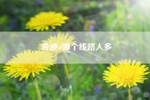 奇迹sf哪个线路人多